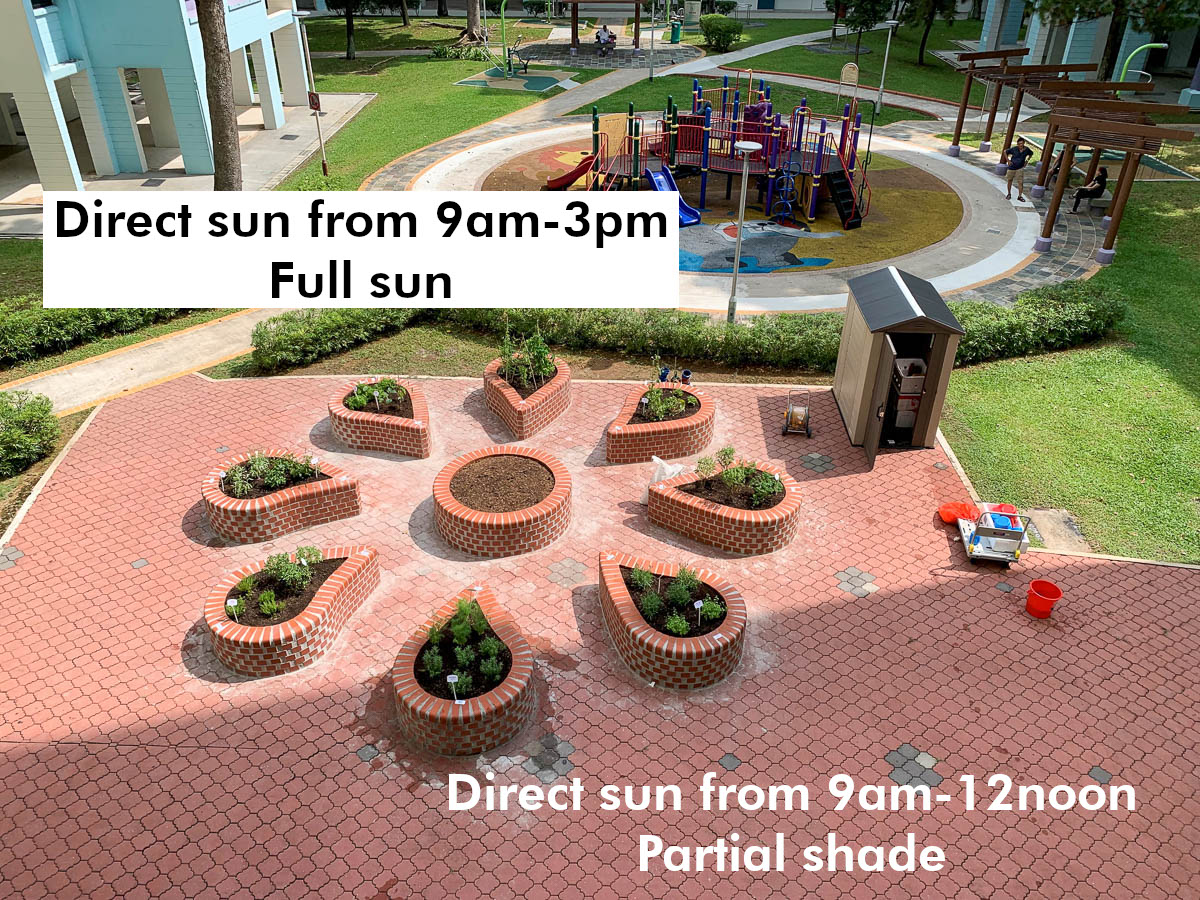 A sample garden with light observations. Graphic by NParks.